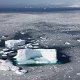 ANTARCTICA FOTO DARIO FERRO COPYRIGHT MIKE HORN (24)